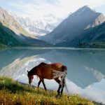 Где можно отдохнуть в России. Алтай